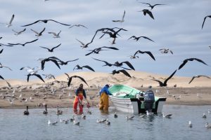 pescadores-1320x880