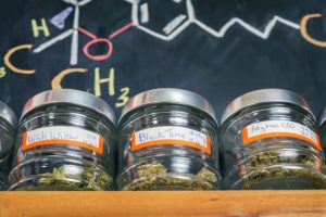 Medical marijuana jars against board with THC formula - cannabis dispensary background